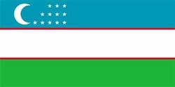 Uzbekistan ratified allied treaty with Russia
