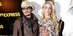 Amber heard decided to divorce with johnny Depp