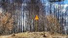 In Ukraine eliminate forest fire within " Chernobyl forest "
