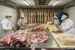 New meat-packing plant under the Vladikavkaz has released the first batch of products