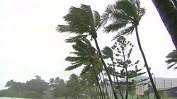 Storm "Debby" hit the coast of North-Eastern Australia