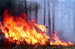 In the Irkutsk region burned thousands of hectares of taiga