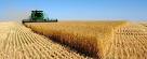 ECE: Russia may lose markets because of the export duties on grain
