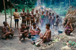 Scientists explain the short stature of the pygmies