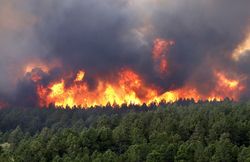 The huge territory of the Siberian forest and taiga still on fire