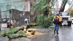 In the Rostov region eliminate consequences of a powerful hurricane