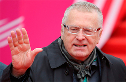 Zhirinovsky called security forces for potatoes