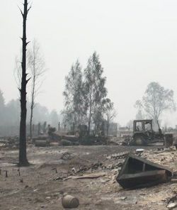Kriushi: a Russian village burnt down by wildfire