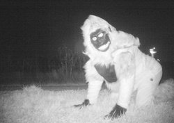 In Kansas in the Park was discovered monsters and Santa Claus