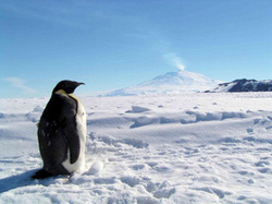 Russian Museum goes to Antarctica