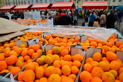 The Rosselkhoznadzor found in tangerines from Turkey pests