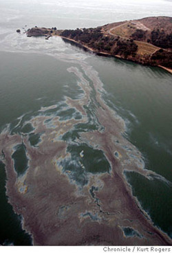 Use of Chemicals in U.S. oil spill endangering wildlife