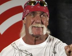 Hulk Hogan blew "hundreds of millions" of dollars