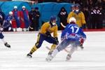 Russian team of hockey with ball reached final of world championship