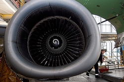A bird in the engine is prevented to fly Boeing