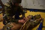 NATO has decided to train Ukrainian military English
