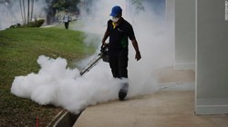 2.6 billion people are at risk of Contracting zika virus