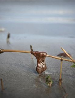 $3.1 bln on containing oil spill