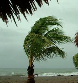 Tropical storm Tomas threatens earthquake-torn Haiti