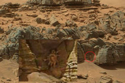 Curiosity spied on Mars crab (photo)