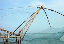 Mobile fishing in India