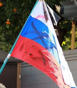 Japanese radicals desecrate Russian flag