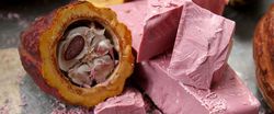 The fourth type of chocolate: pink-brown "ruby chocolate"