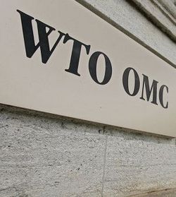 Georgia against Russian WTO entry at own expense