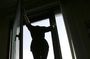 26-the summer inhabitant of Nizhnekamsk jumped from the 8th floor