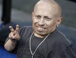 Verne Troyer got trapped in an airplane toilet for 20 minutes