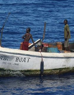 Somali pirates free 15 Bulgarian sailors