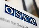 Dacic: SMM OSCE observers came under fire in Eastern Ukraine
