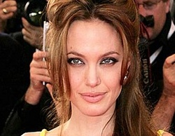 Angelina Jolie did not plan to have a big family