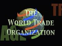 Russia to discuss its WTO bid with Georgia in Geneva next week