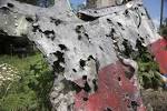 Specialist in: proceedings of state of emergency with MH17 was conducted during a single version
