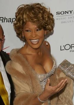 Whitney Houston hospitalised in France