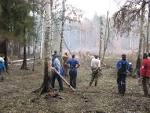 About 60 people extinguish a peat under the Chernobyl on the area of 5 hectares
