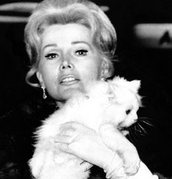 Zsa Zsa Gabor in hospital with blood clot