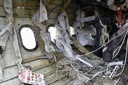 The cause of the crash of the airliner A321 was a terrorist attack
