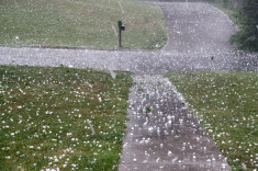 In the Rostov region, hail the size of a fist