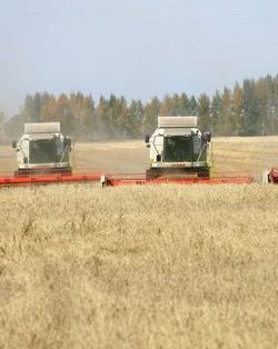 Russia to retain leading grain positions after resuming exports