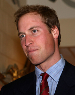 Prince William has chosen his brother as his best man