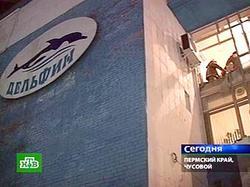 Children died in "Dolphin" swimming pool because of defective brick
