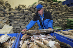 Sale fish abroad may prohibit