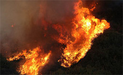 Death toll hits 200 in southern Australian bushfires