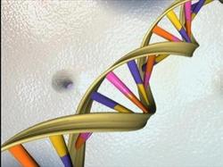 Researchers find gene linked with male infertility