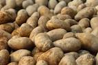 Belarus took the decision to ban the import of potatoes from Ukraine
