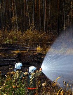 Ten wildfires put out in Russia`s Far East