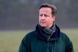 The lords have criticised Cameron for Russia