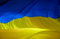 Fans burned the flag of Ukraine in Kiev (video)